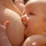 ГРУДНЕ ВИГОДОВУВАННЯ